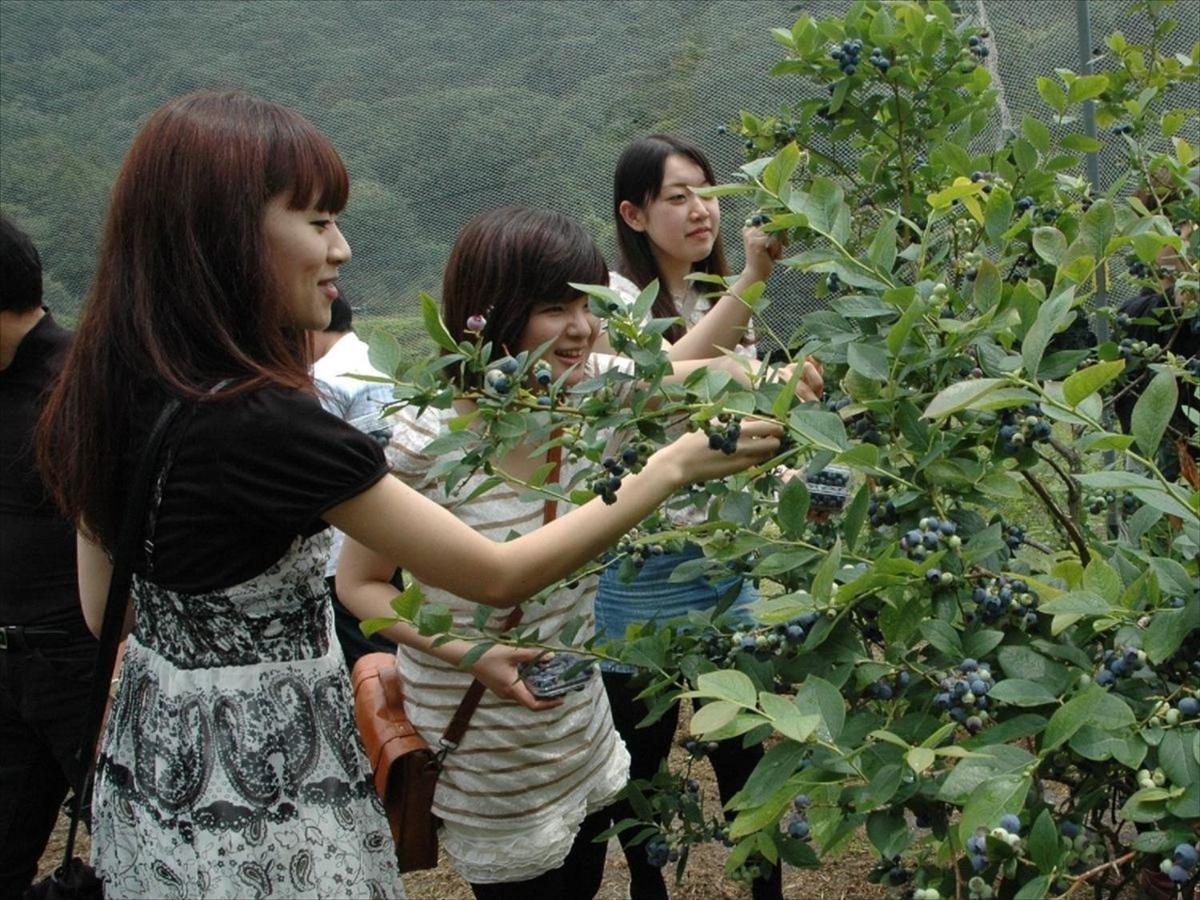 Rokugatsu-No-Mori Auberge 佐野市 エクステリア 写真